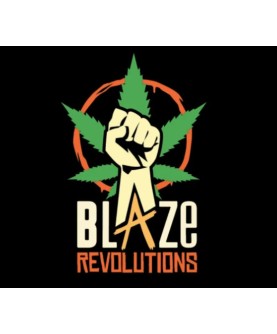 Blaze Revolutions Steam Key EUROPE